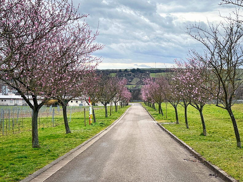 23-03-13 11-08-00 4835